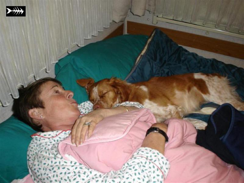 caspe 2005 suite 2 002.jpg